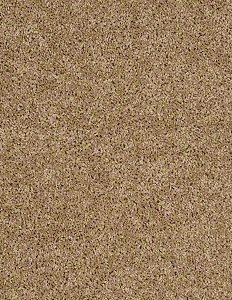 carpet swatch