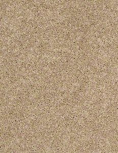 carpet swatch