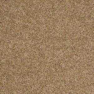 carpet swatch