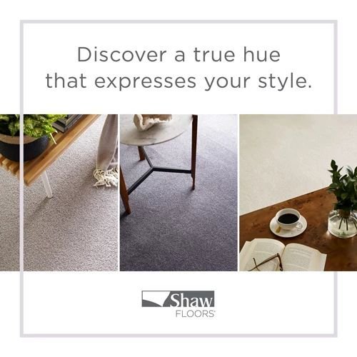 Color Speaks from The Barton Co. Carpets in San Antonio, TX